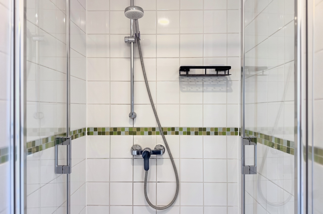 Ferienwohnung Elb-Lounge: Halbe Dusche